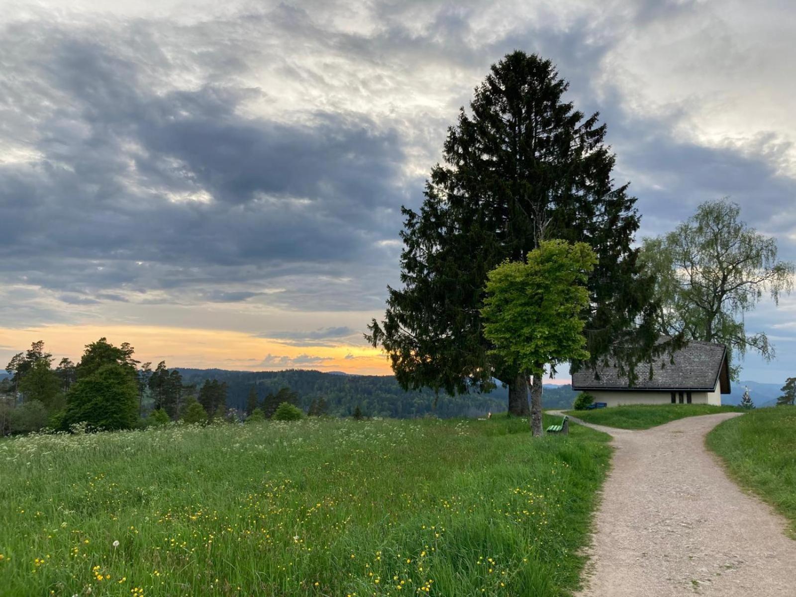 Haus Hanni Höchenschwand Exteriér fotografie